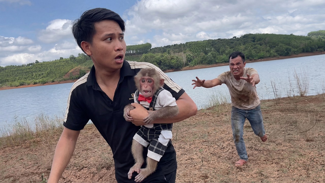 Thief Tries to Steal Monkey Moon — Dad Runs to Protect Her!