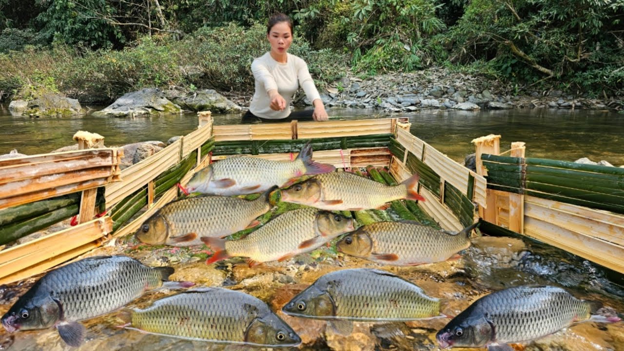 Full video of Ana's 90-day process of making fish traps and harvesting fish for market.