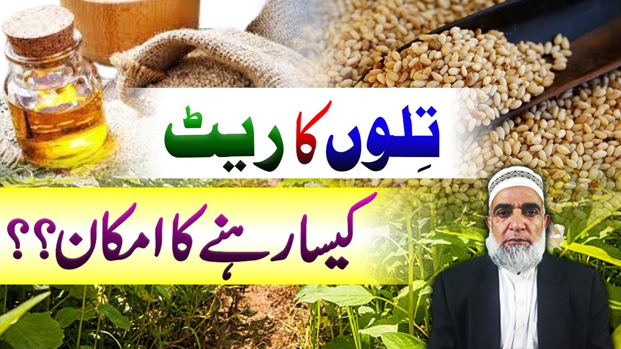 Is Sesame Profitable in 2026? Price Prediction || Crop Reformer
