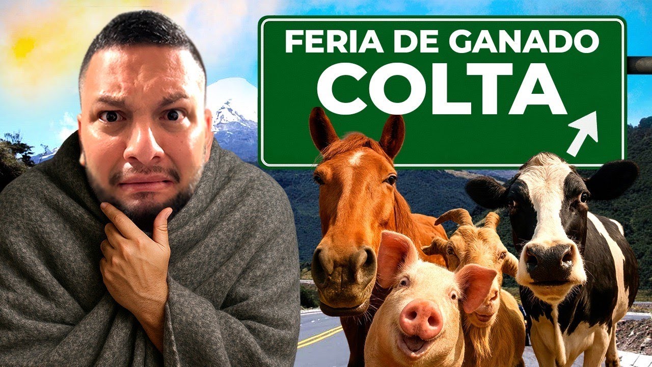 ¡DESCUBRÍ la FERIA de ANIMALES más INCREÍBLE de Cajabamba! #ecuador