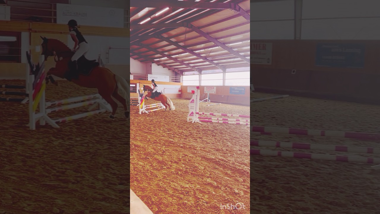 Springreiten 