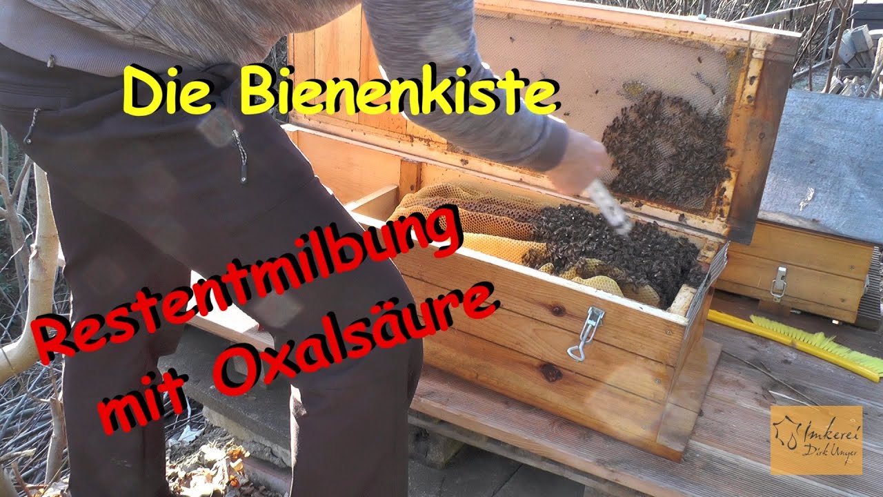 Restentmilbung mit Oxals&auml;ure -Bienenkiste