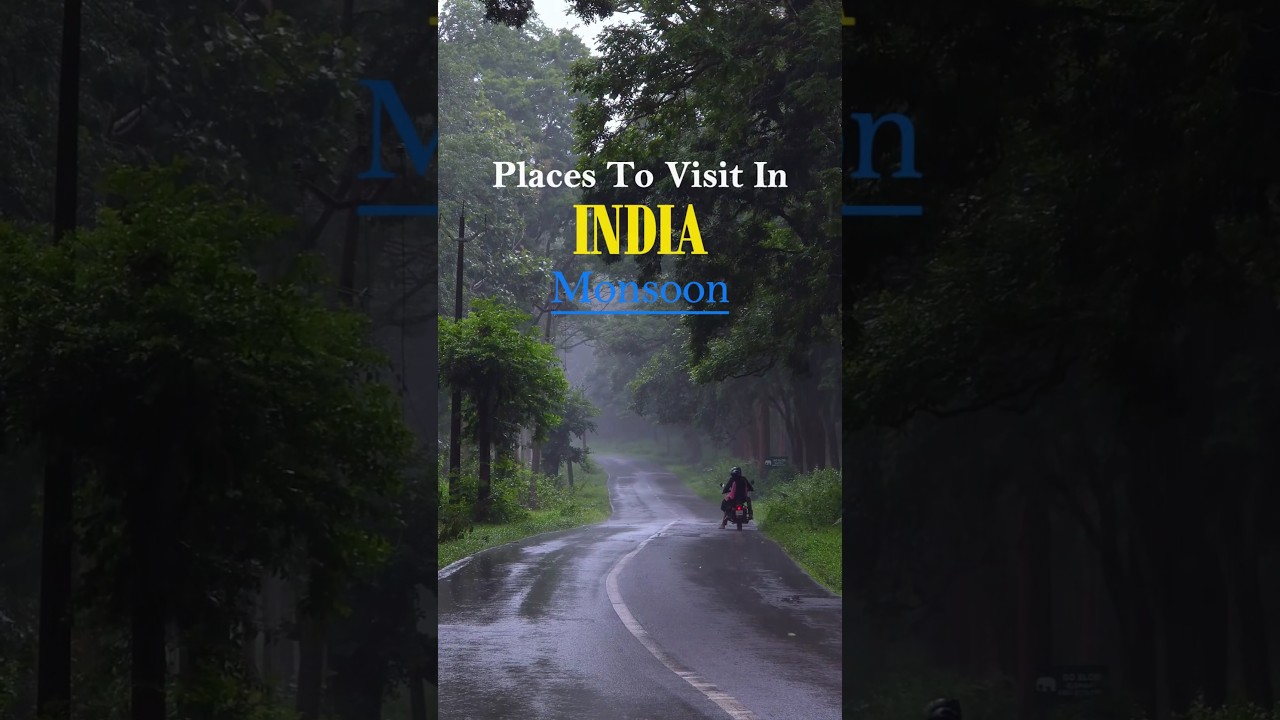 Places to Visit in India in Monsoon ⛈️🦚🦢