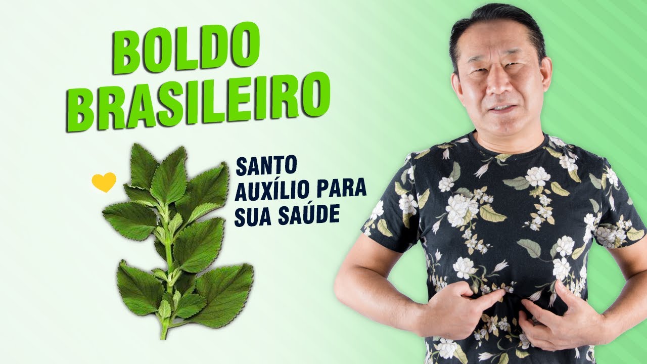OS BENEF&Iacute;CIOS DO BOLDO BRASILEIRO | Dr. Peter Liu