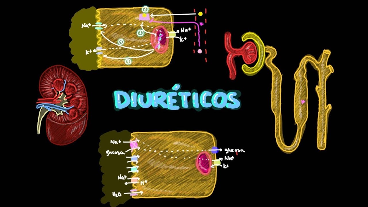 Clase 10: Diuréticos