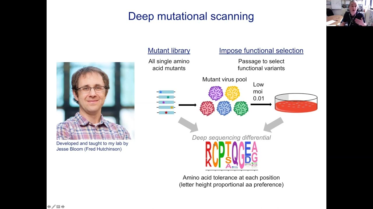 Matthew Evans: Deep mutational scanning of flaviviruses