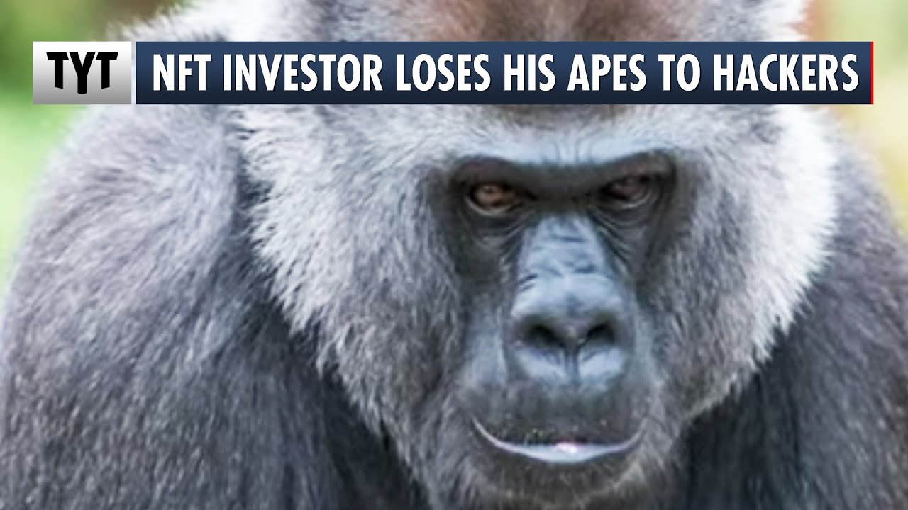 Hackers Snatch Multi-Million Dollar NFT Ape Collection