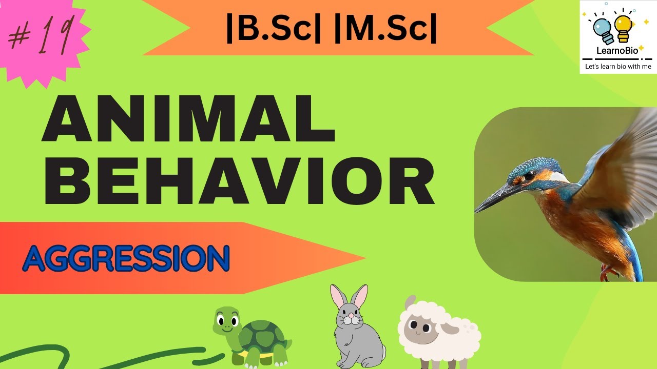 ANIMAL BEHAVIOR || PART-19 || AGGRESSION
