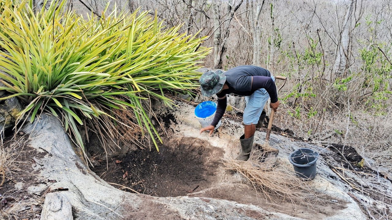 ATITUDE LINDA A DELES LIMPANDO OS TANQUE DE ÁGUA SUJO DA CAATINGA