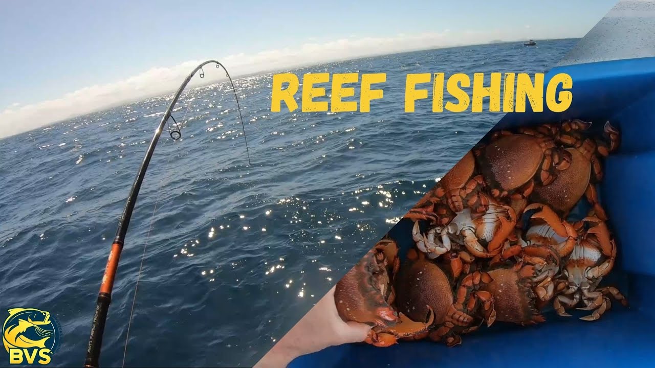 Sunshine Coast Spanner Crabs and REEF FISHING