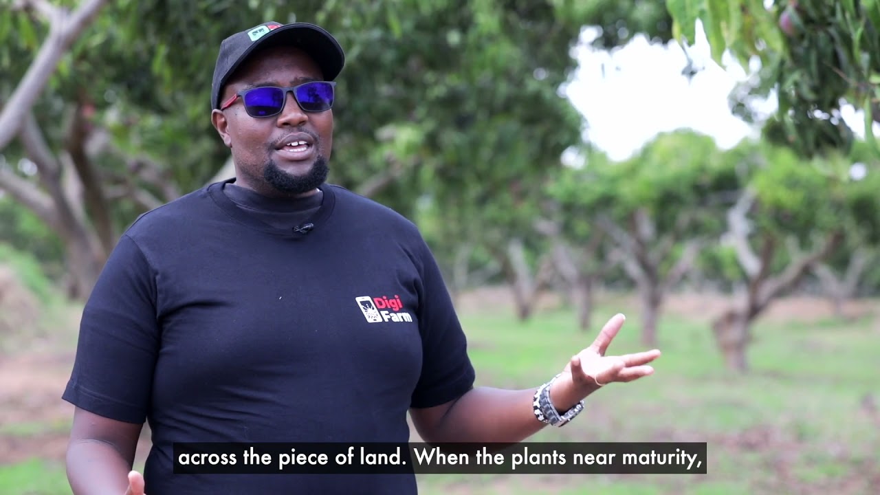 Bringing drones to the farm #SafaricomNews