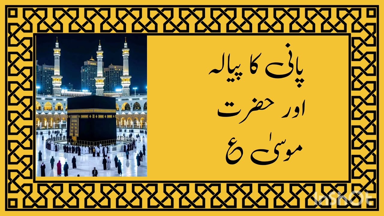 8 جنوری، 2026