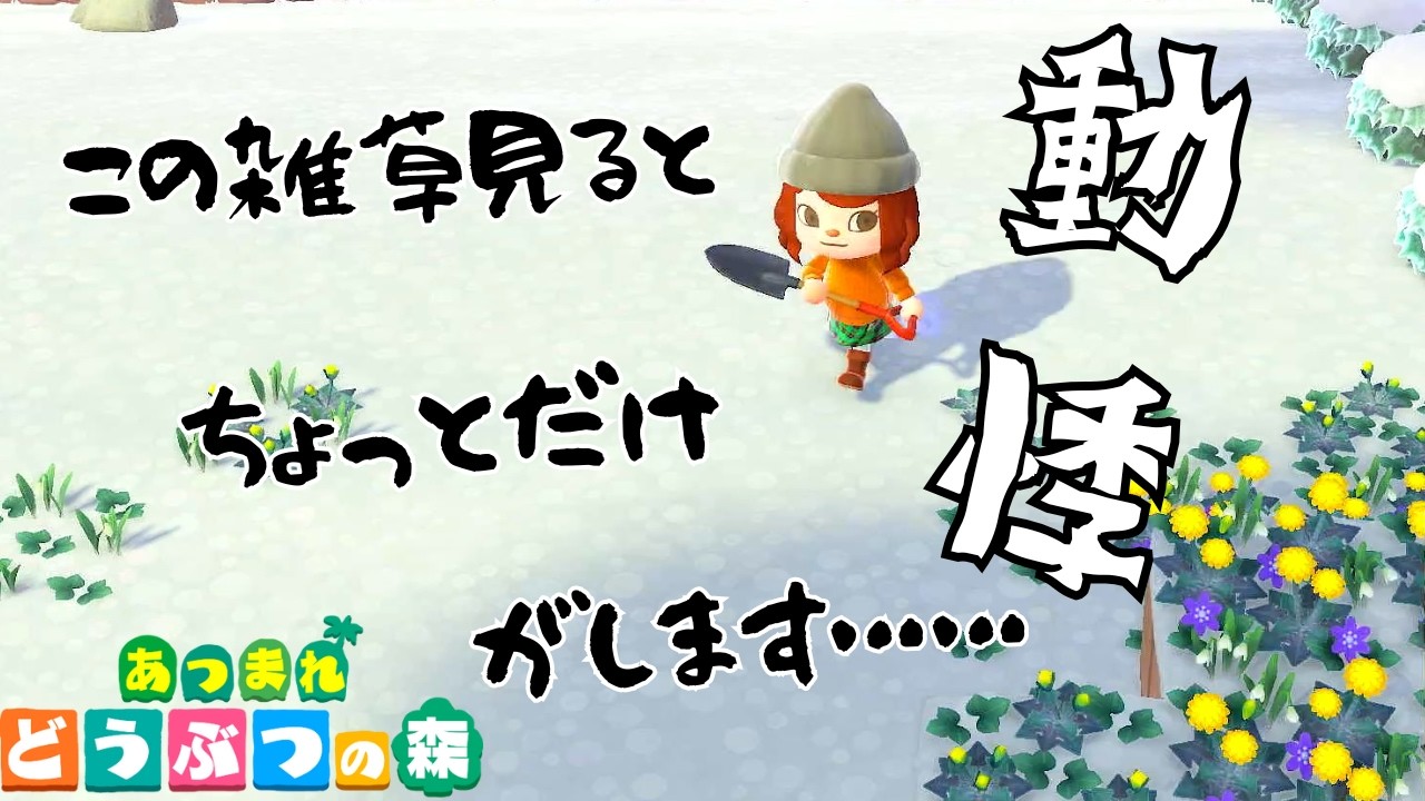 【あつまれ どうぶつの森】Level５２