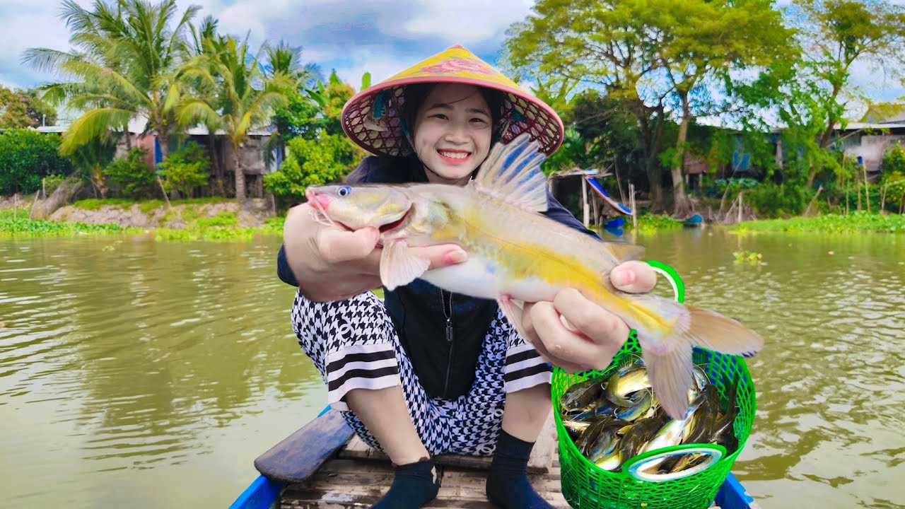 B&iacute; K&iacute;p Giăng C&acirc;u C&aacute; Lăng Khủng Khi V&agrave;o M&ugrave;a - C&aacute;ch C&acirc;u Hiệu Quả | Fishing