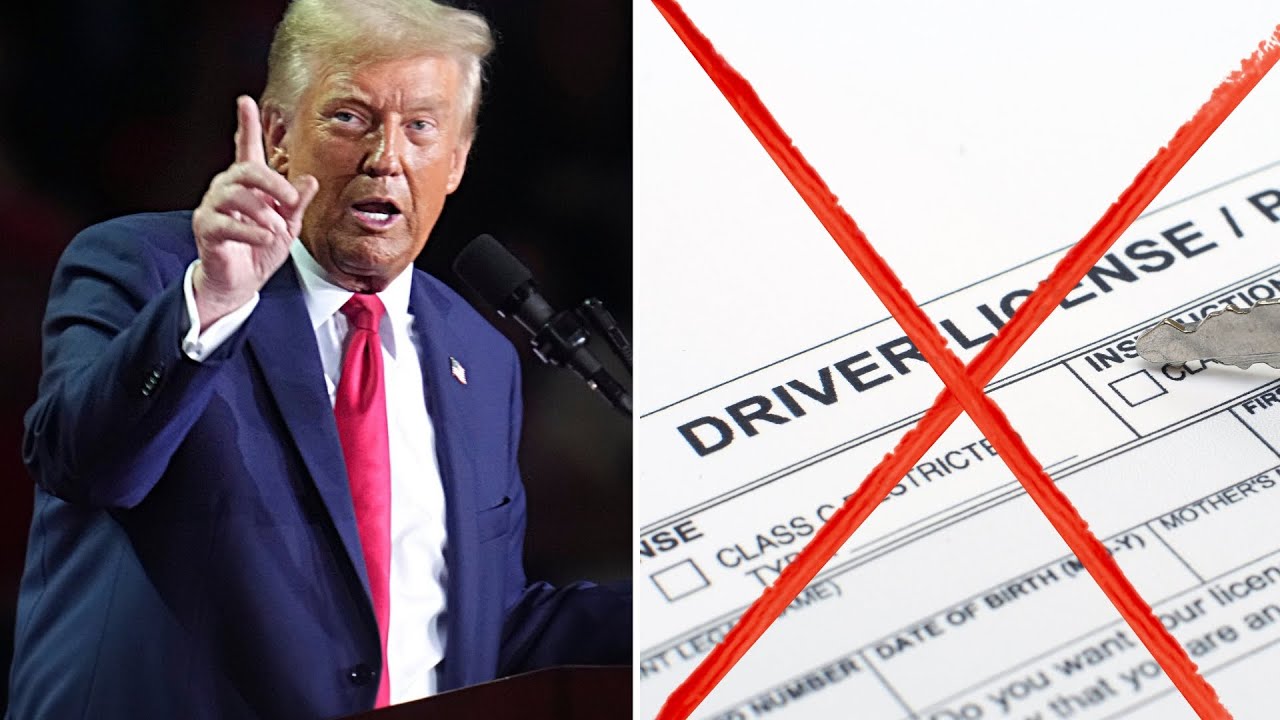 Alerta para conductores inmigrantes, miles de licencias comerciales serán revocadas