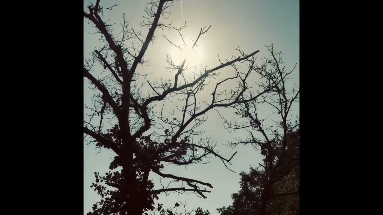 Milo Scaglioni - Sketches in the sand (official video)