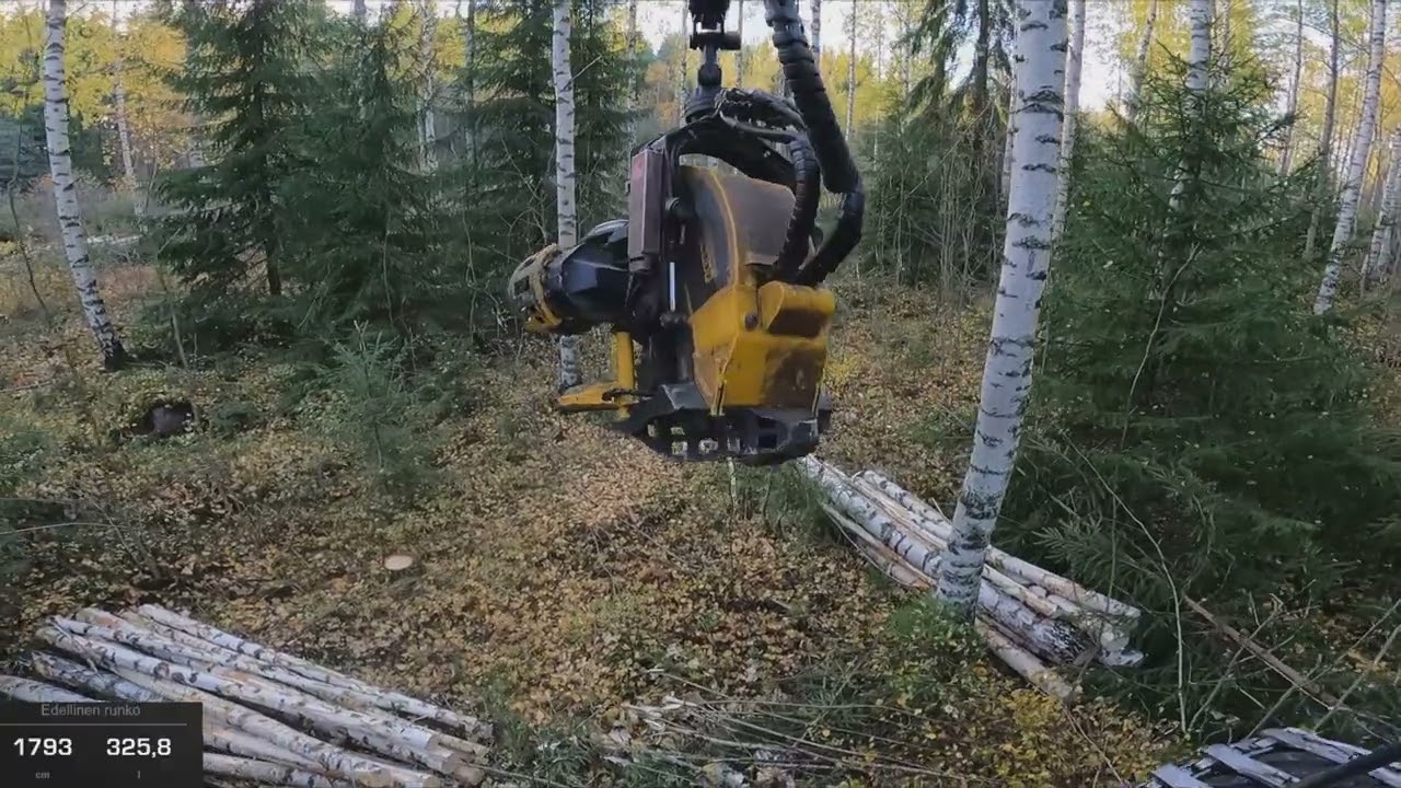 Koivu harvennuksella lehtiä pölyttelemässä. Ponsse Scorpion K H7 AC FC
