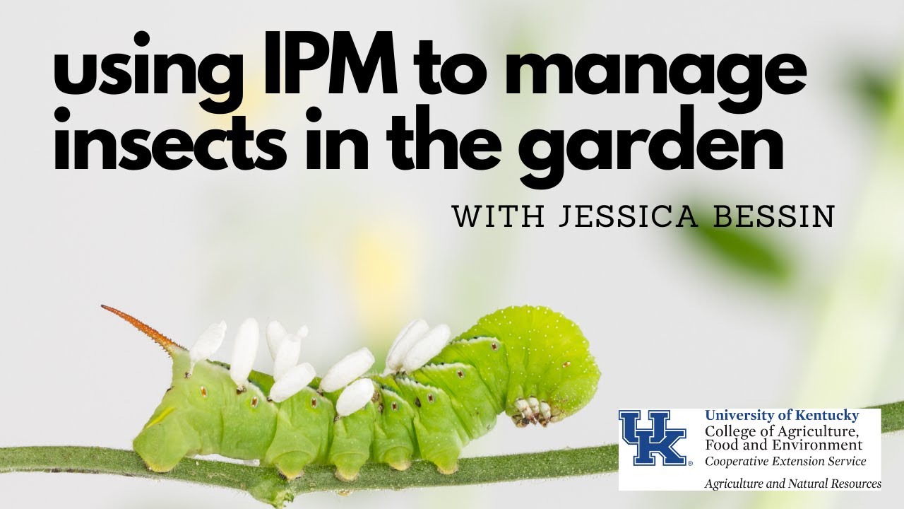 Using IPM to Manage Insects in the Garden