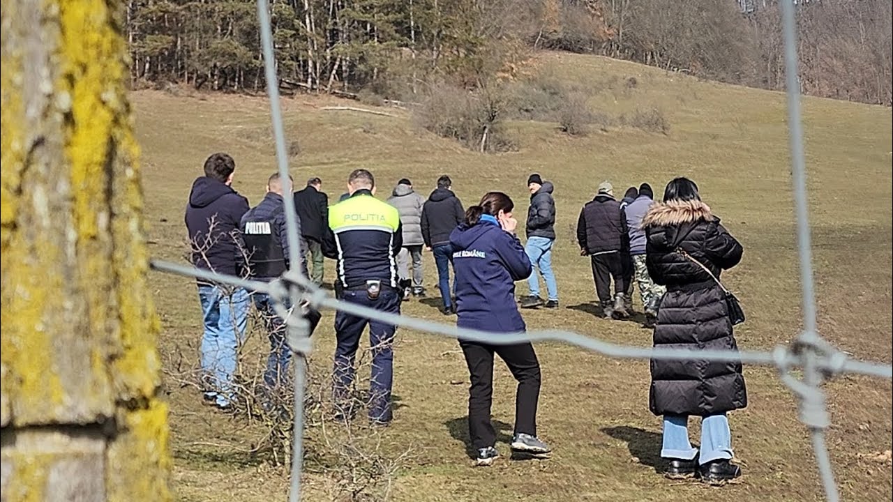 Zeci de animale moarte la ferma de bizoni: De la o sesizare, la intervenția autorităților din Cluj