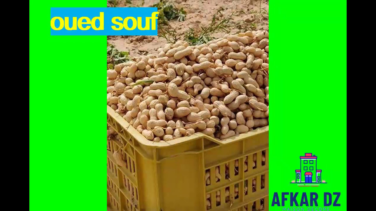 c'est Oued Souf en Algérie