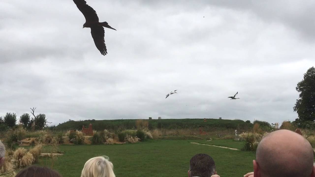 Hawk Conservancy Trust,  Hampshire
