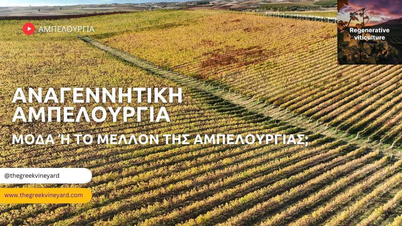 #Αναγεννητική #αμπελουργια | Μόδα ή Το Μέλλον Της Αμπελουργίας; #αμπελι