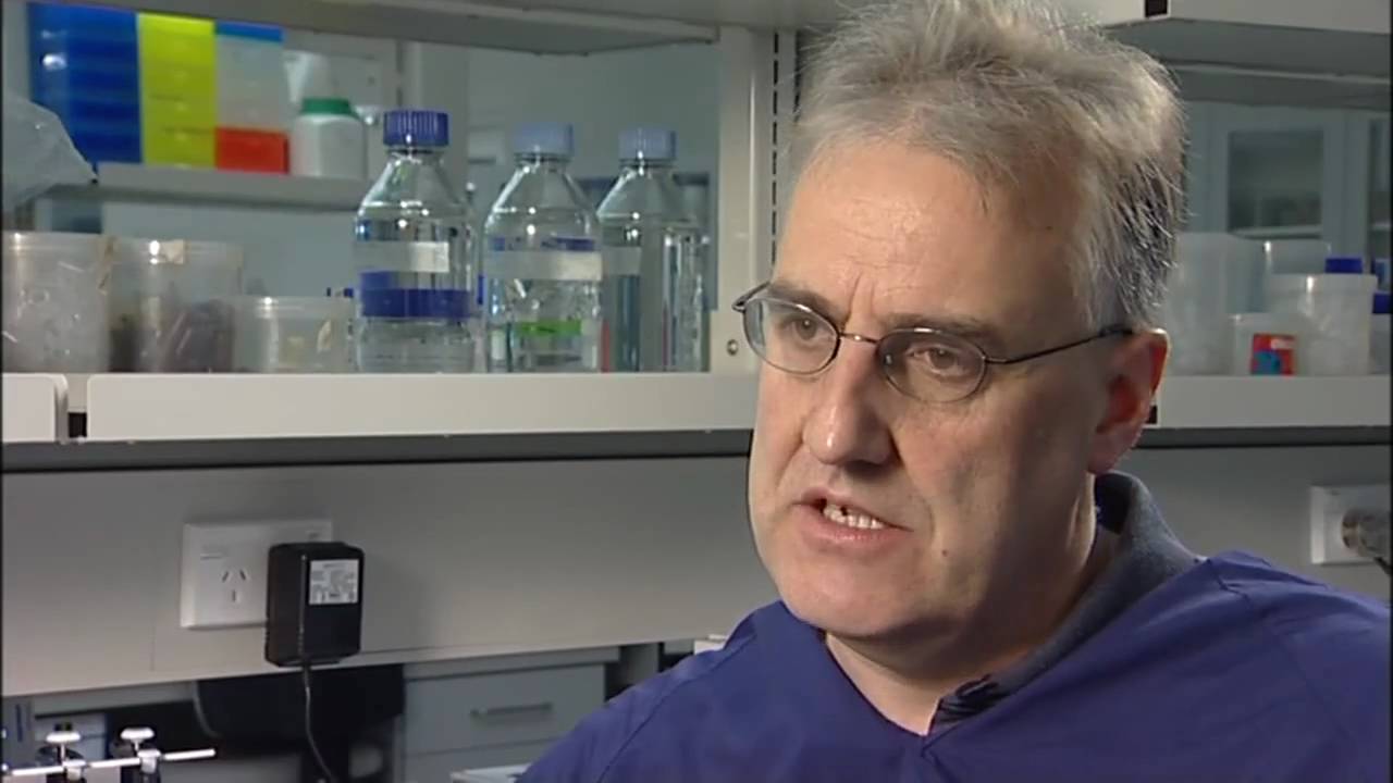 SNP Chip for the Sheep Genome