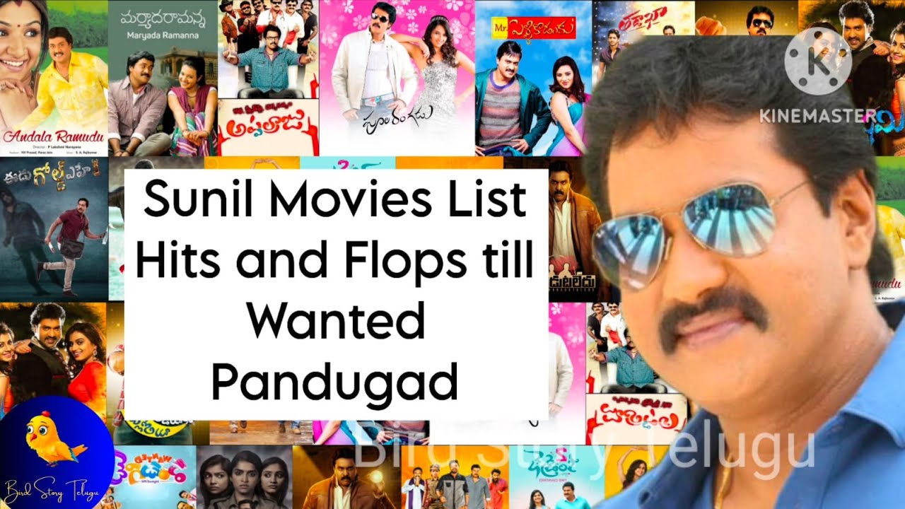 Sunil Movies List Hits and Flops till Wanted Pandugad