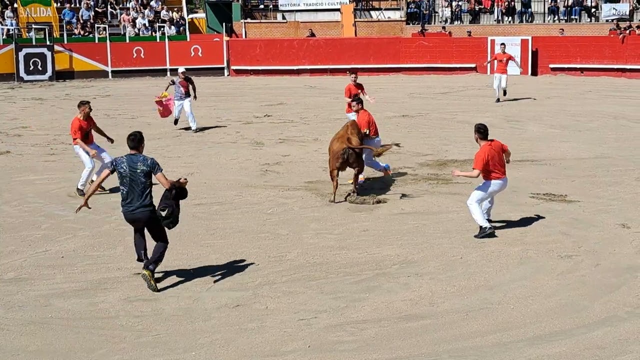 Tauste y Fresi exhibición con una vaca de manolo Beltrán juegos de tronos   onda 2022