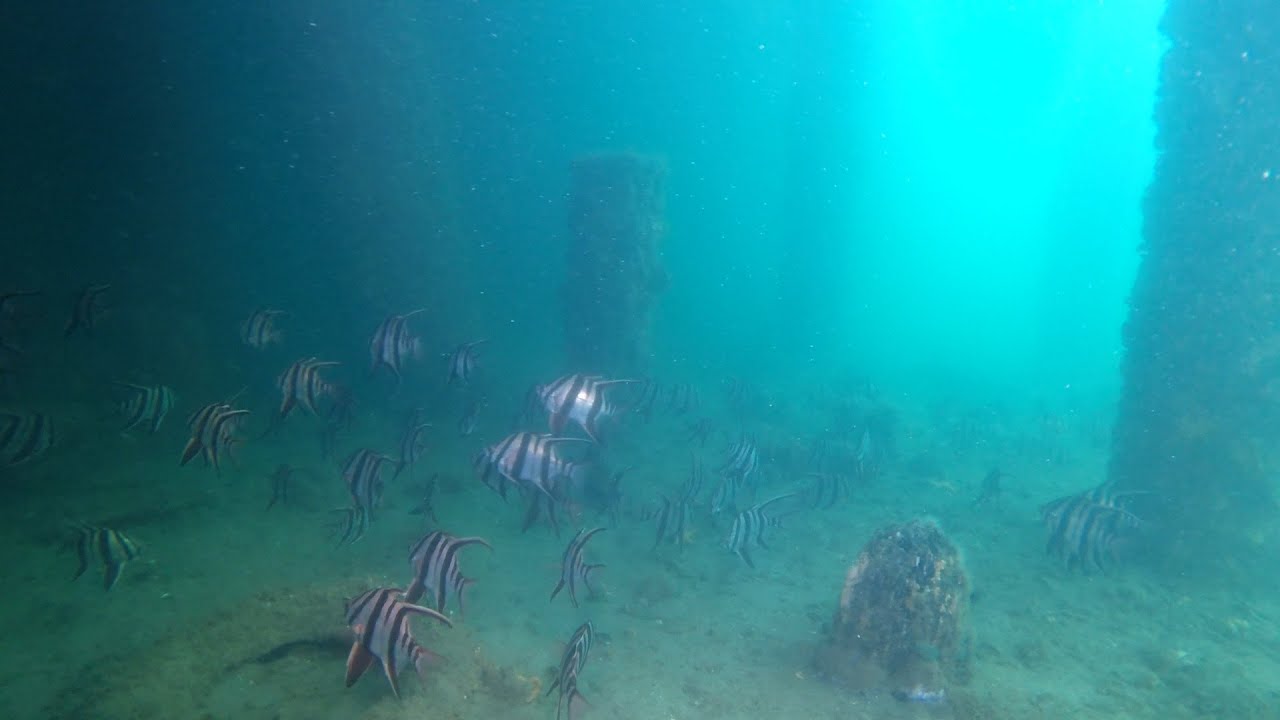Mornington Pier 2020