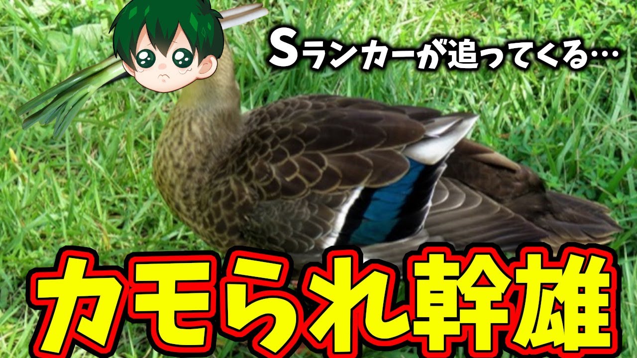【第五人格】ガチでやめて…下持ち泣きピエロってバレバレだけど絶対追わない方がいいと思うのにガッツリ追われるんだけどやっぱりカモられてる？【IdentityⅤ】【アイデンティティ5】