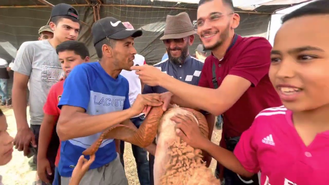 من قلب سوق الماشية في طنجة مواطنين متضررين الله يحسن العوان للجميع ‏واكل لعصا   الكساب والمواطن