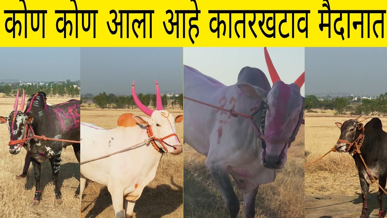 सगळे टॉपचे चेहरे दिसणार कातर खटाव मैदानात..