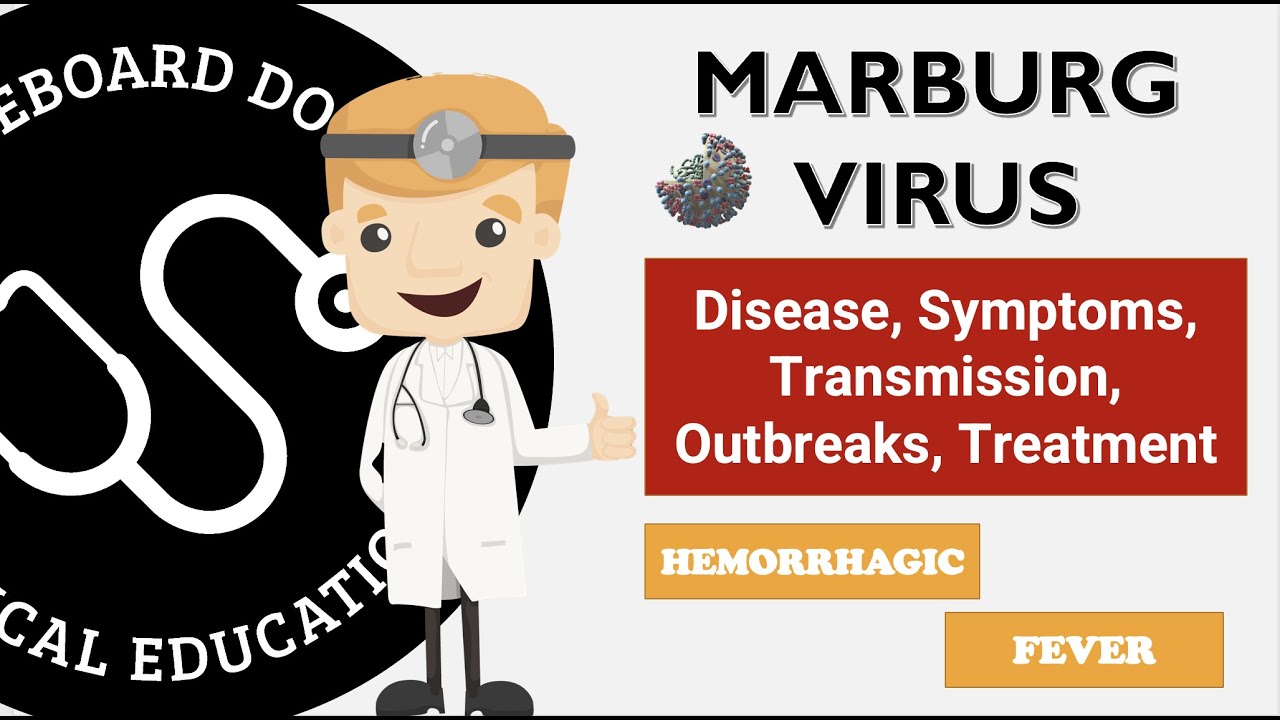 Marburg Virus - Ebola's Cousin Creates Stir - Disease, Symptoms, Transmission, Outbreaks, Treatment