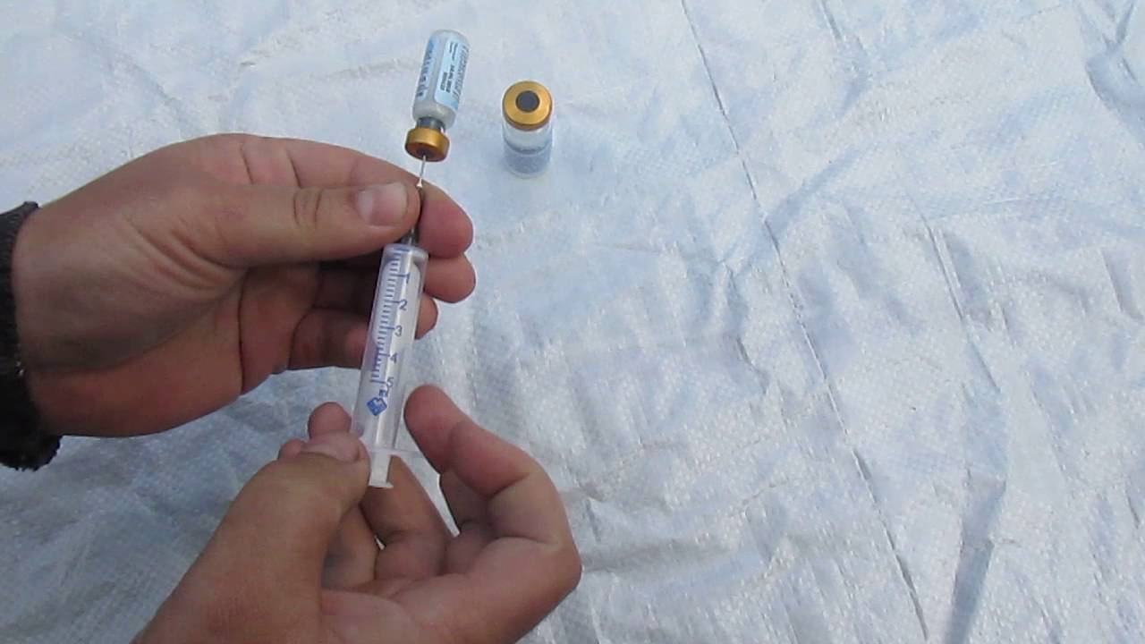 Щеплення кролів вакциною 