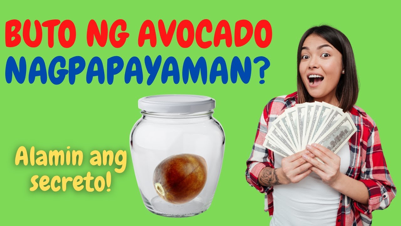 BUTO NG AVOCADO Lang! YAYAMAN KA NA! Paano?