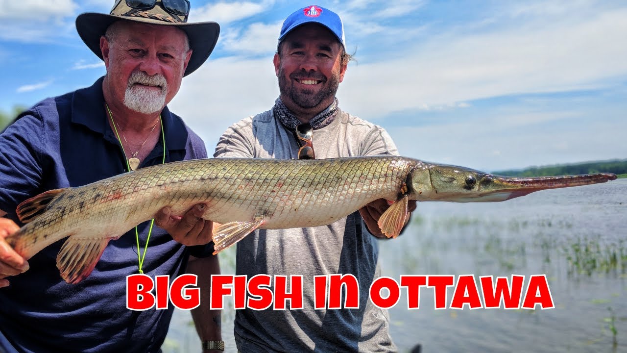 Urban Fly Fishing in Ottawa |Rising Sun Charters