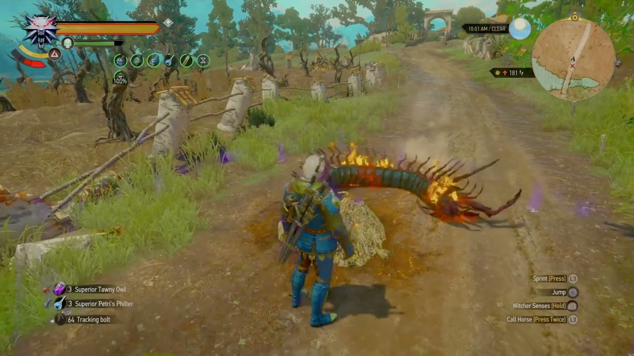 Cold Wind's Howling! Powerful Piercing Cold Build Witcher 3 (Update 4.0)