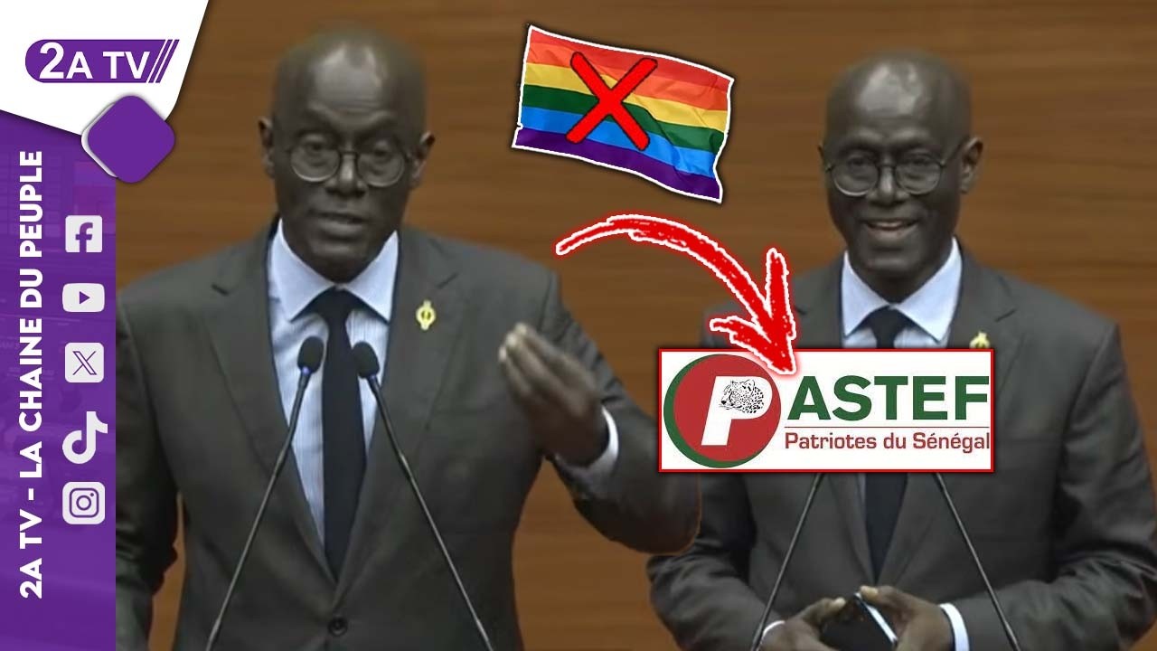 La Colère de Thierno Alassane Sall 