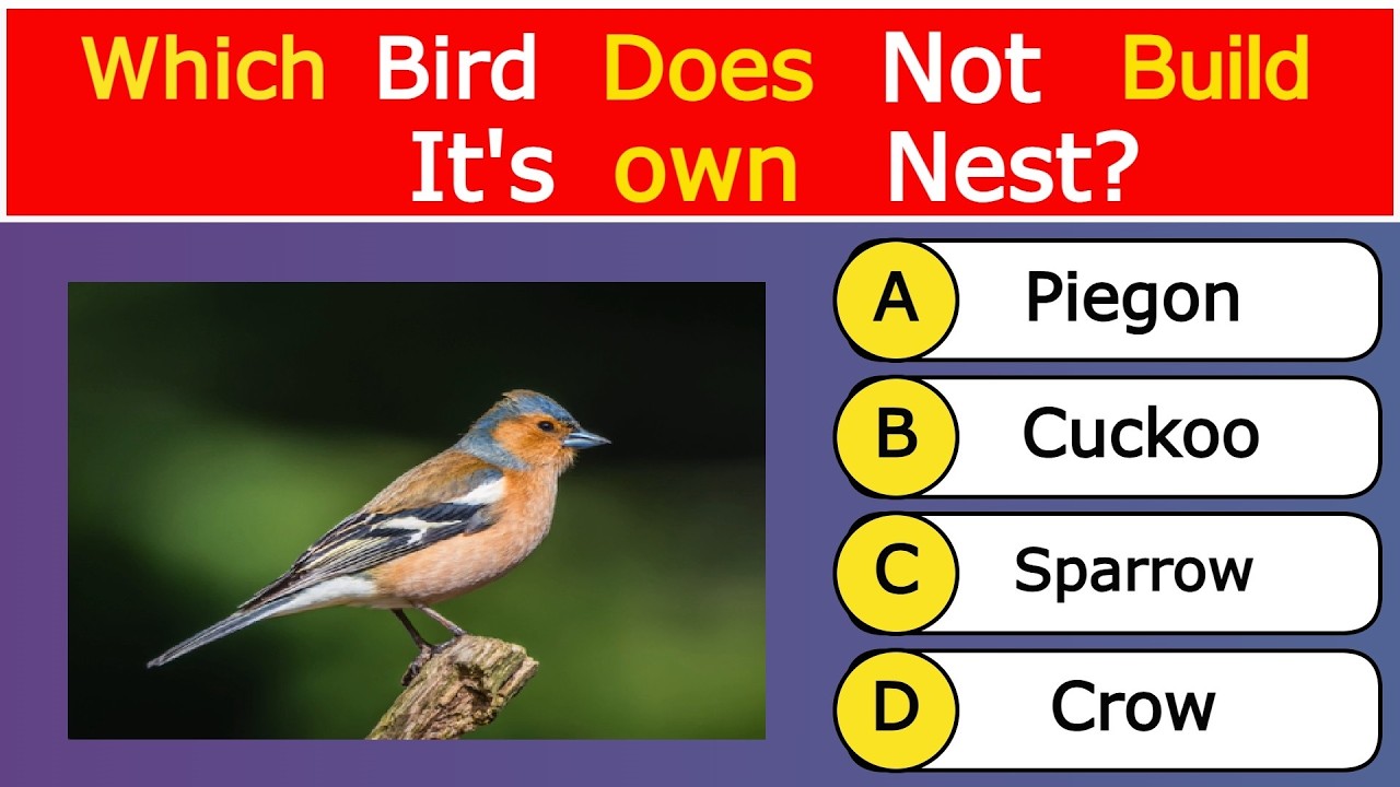 GK | GK Question | English GK | GK in English | gk question english mein | GK 2026 | Video 21