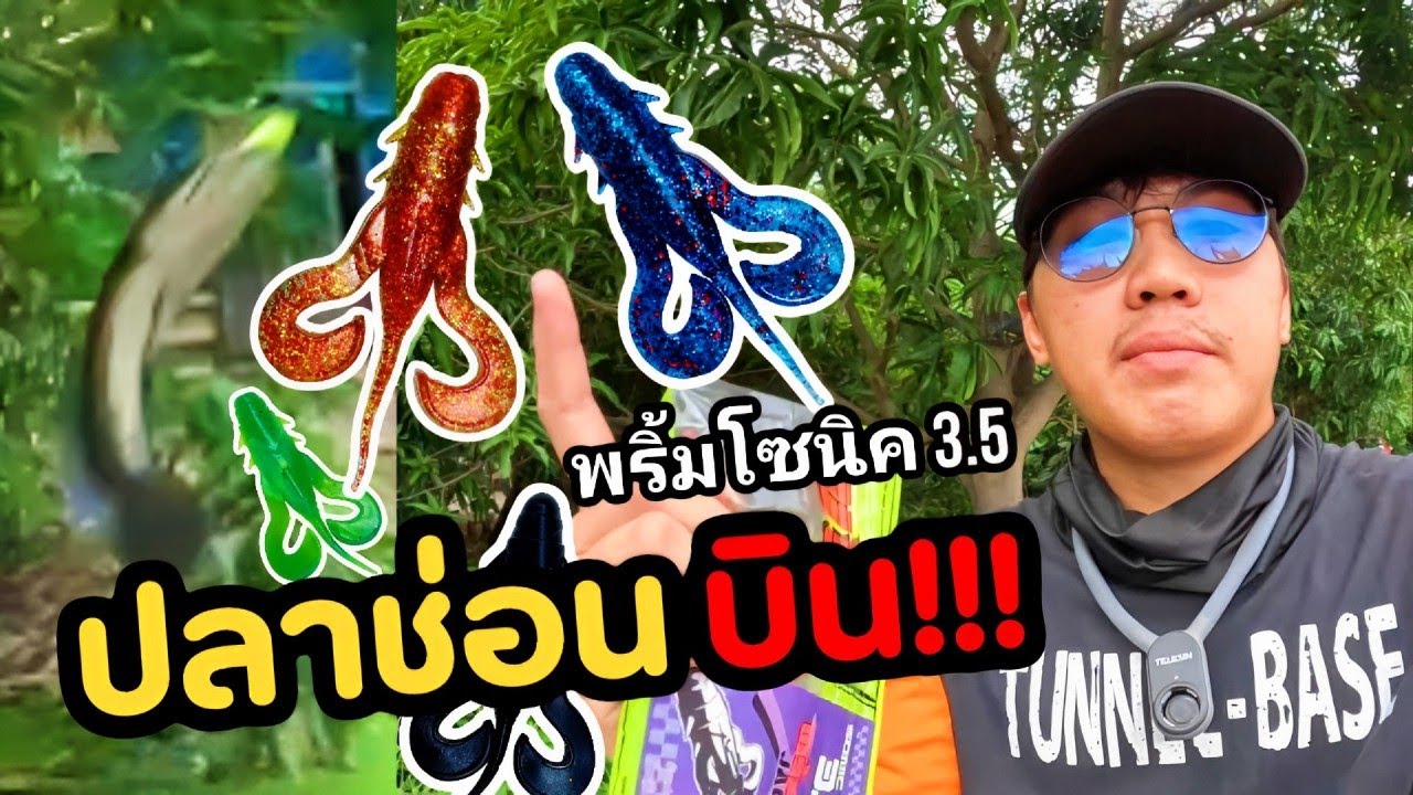 ปลาช่อนบินได้ ด้วยเหยื่อ พริ้ม โซนิค3.5