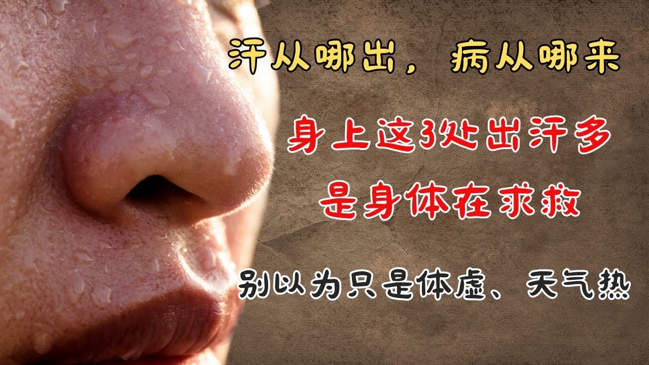 汗从哪出，病从哪来！夏季身上这3处出汗多，是身体在求救！别以为只是虚、天气热！| 中医养生｜身体调理｜气血疏通｜经络养生｜针灸理疗｜【中医针灸理疗师Jimmy】