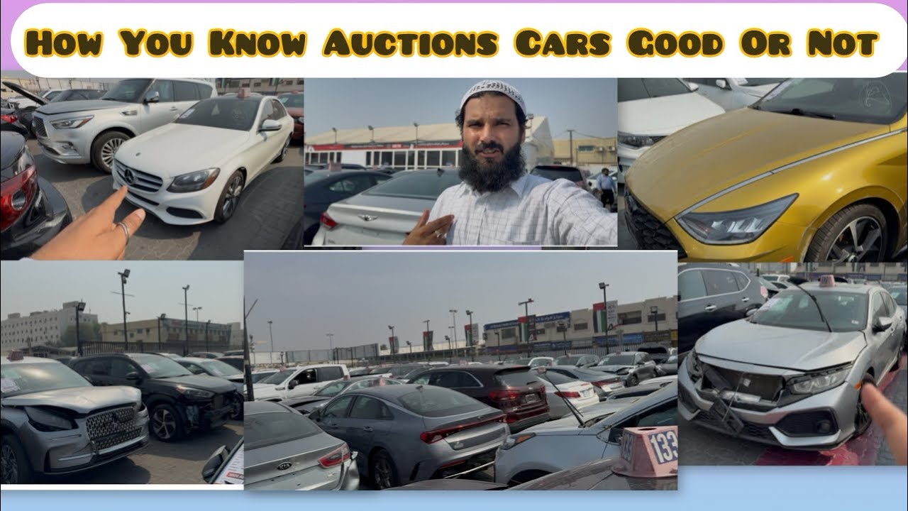How You Know Auctions Cars Good Or Not What Kind Of Cars Should Buy very Informative Sammad UAE Vlog