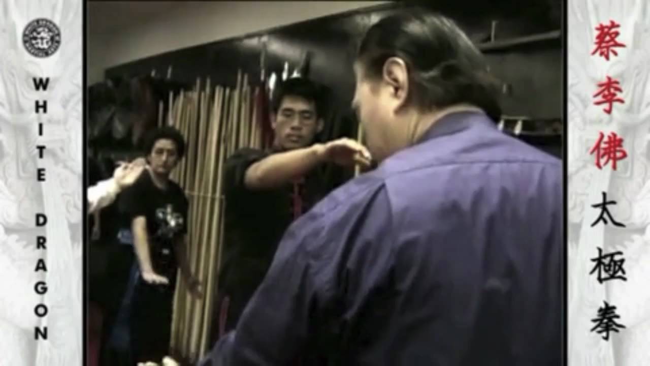 Yang Tai Chi - Grandmaster Doc-Fai Wong