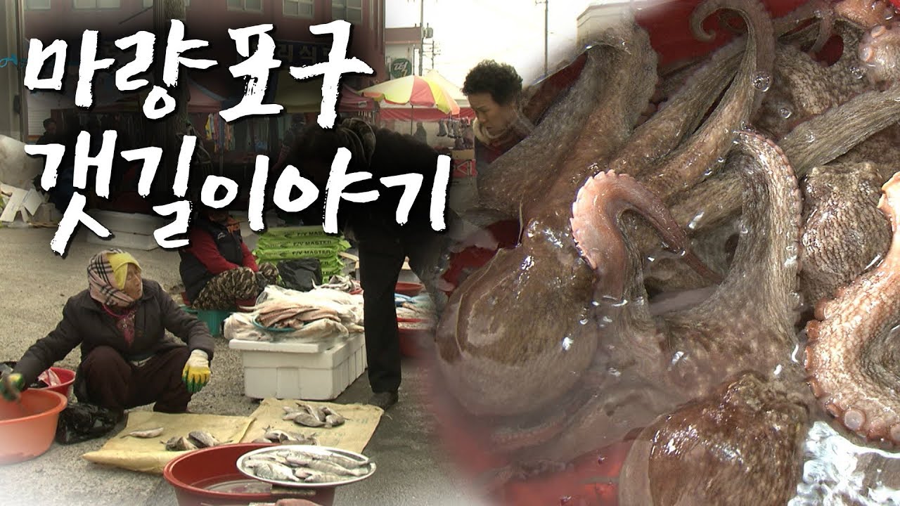 섬사람들이 육지로 향하는 길목, 강진 마량포구 이야기 [어영차바다야]