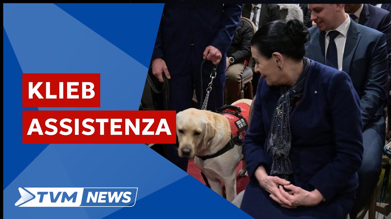 Ħamest iklieb ta’ assistenza jiggradwaw waqt ċerimonja fil-Palazz ta’ Sant’Anton