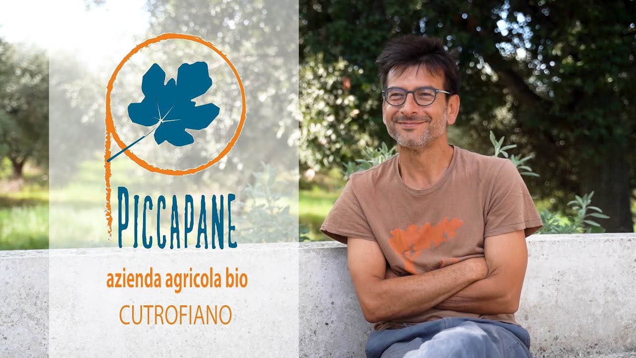 BIOSTERIA PICCAPANE // Agriturismo vegan nel Salento || Puglia, Italy