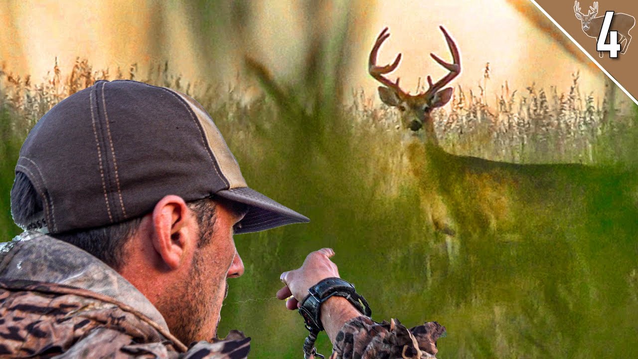 BIG BUCKS IN THE CATTAILS - Early Season BOWHUNTING