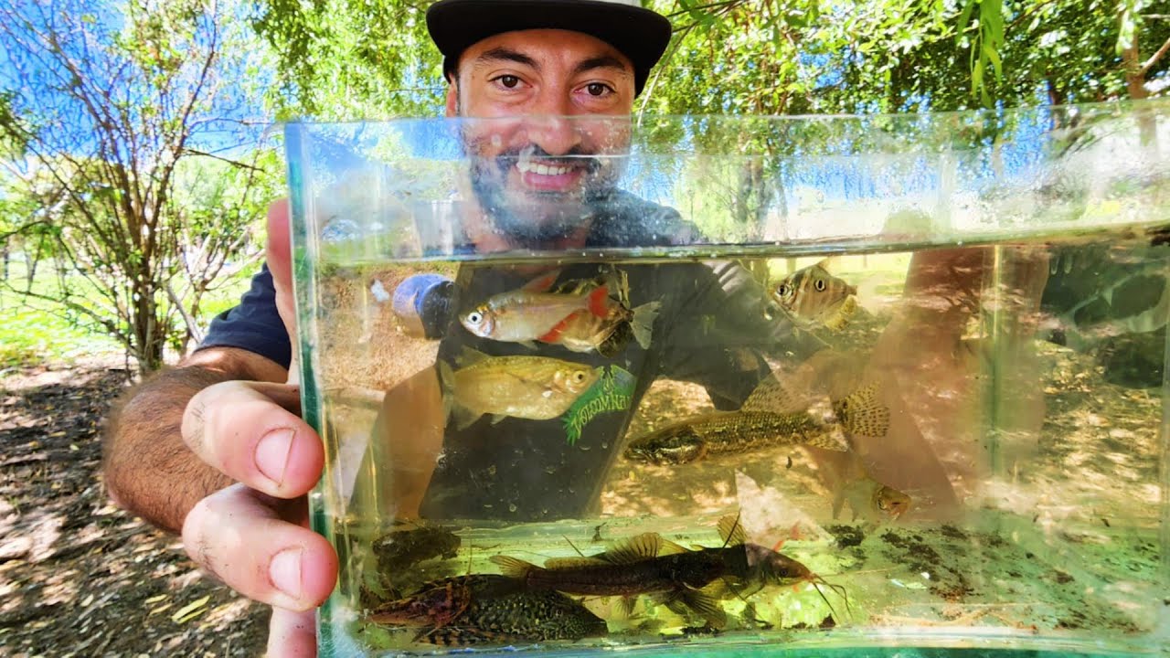 2 D&Iacute;AS en la ISLA Encuentro MILES de PECES.