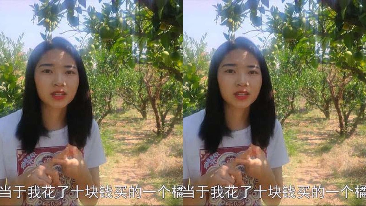 城边圈地种橘子，靠着门票一天能挣几大千，橘园老板太有头脑了！